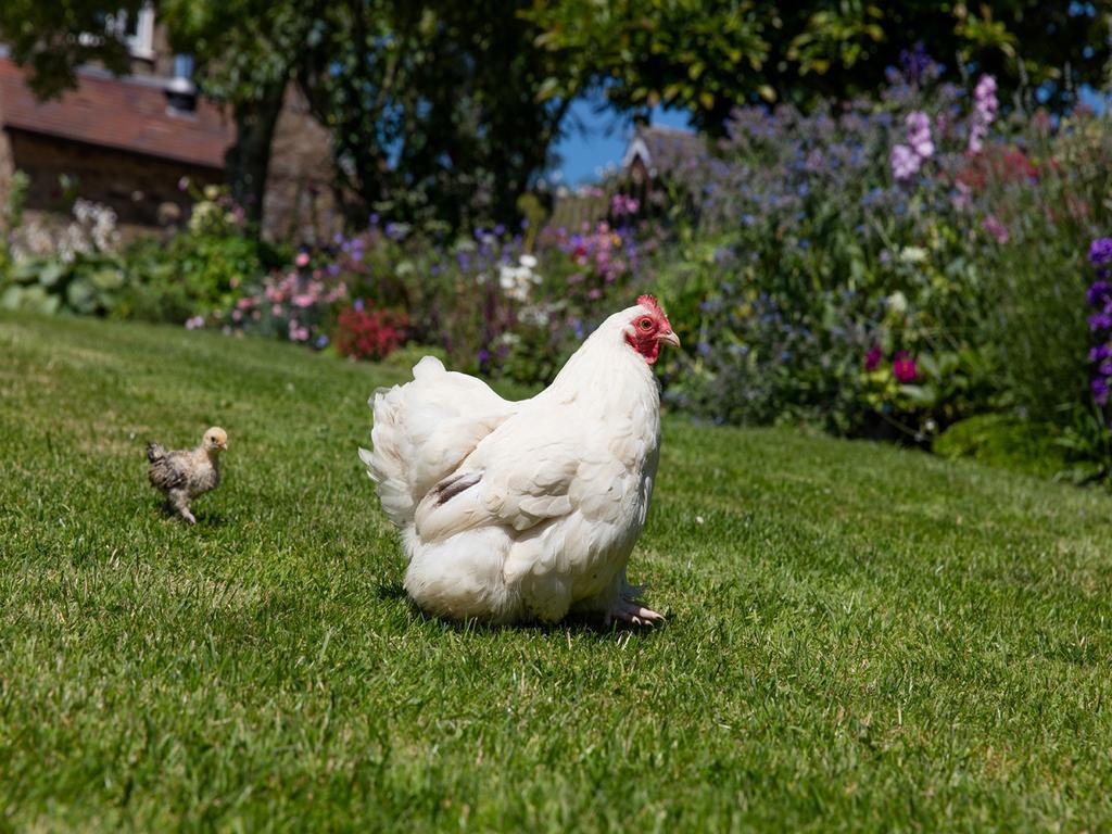 The Graig Bed & Breakfast Ludlow Farden Exteriér fotografie
