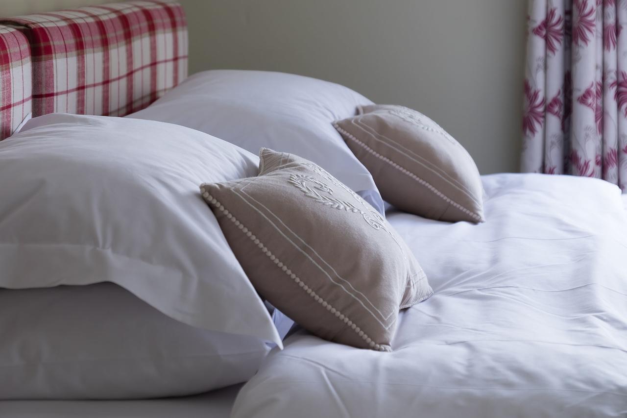 The Graig Bed & Breakfast Ludlow Farden Exteriér fotografie