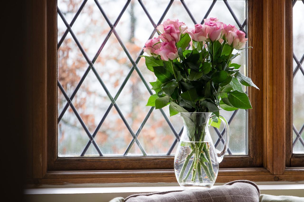 The Graig Bed & Breakfast Ludlow Farden Exteriér fotografie